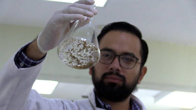 El investigador Fernando López Cardoso, de la UAS, explora los hábitos de consumo de plantas medicinales. El investigador Fernando López Cardoso, de la UAS, explora los hábitos de consumo de plantas medicinales.