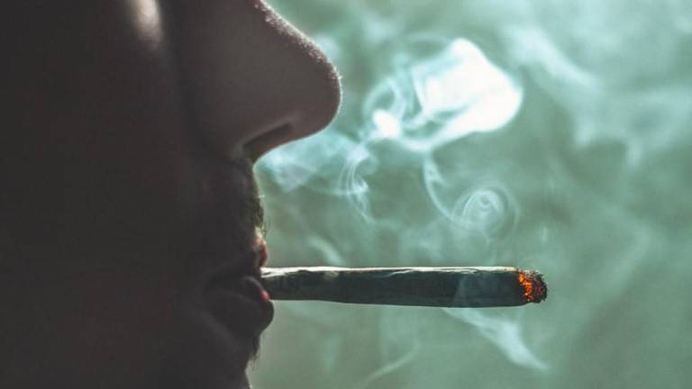 La Junta Internacional de Fiscalización de Estupefacientes (JIFE) expresa preocupación por la tendencia a la legalización del uso recreativo del cannabis.