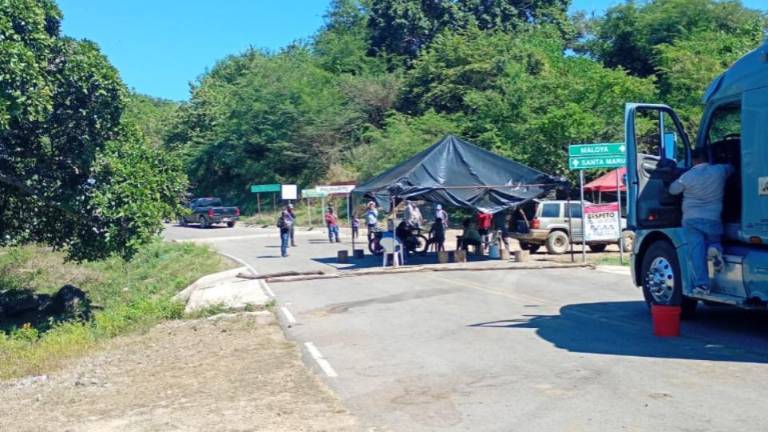 Por tercera ocasión, la carretera estatal hacia la zona serrana de Rosario fue bloqueada en la comunidad de Palmarito. Por tercera ocasión, la carretera estatal hacia la zona serrana de Rosario fue bloqueada en la comunidad de Palmarito.
