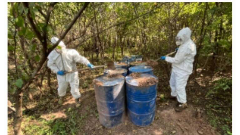 Los operativos se registraron en Culiacán y Cosalá. Los operativos se registraron en Culiacán y Cosalá.