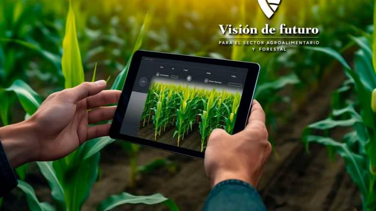 Visión de Futuro es una hoja de ruta para el sector agroalimentario y forestal de México. Es un documento que permitirá avanzar hacia un sector más competitivo, sustentable, resiliente, incluyente y que genere bienestar de las familias que viven del campo.