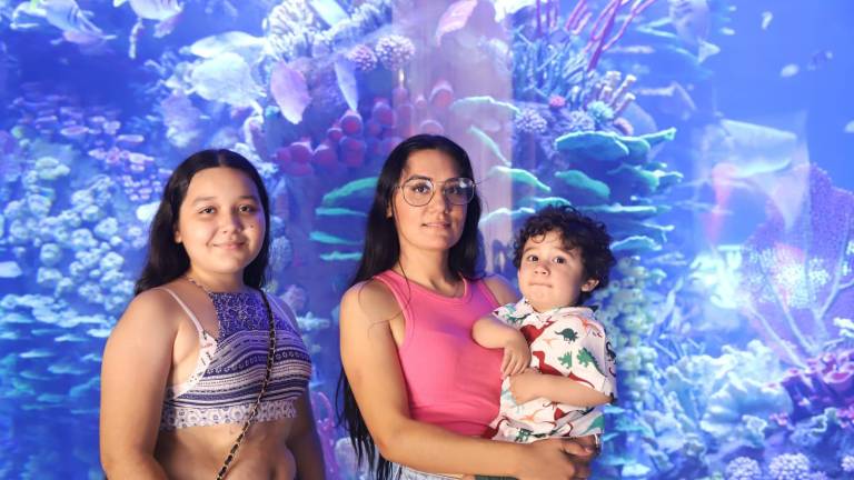 Se ‘sumergen’ locales y visitantes en el Gran Acuario Mazatlán Mar de Cortés