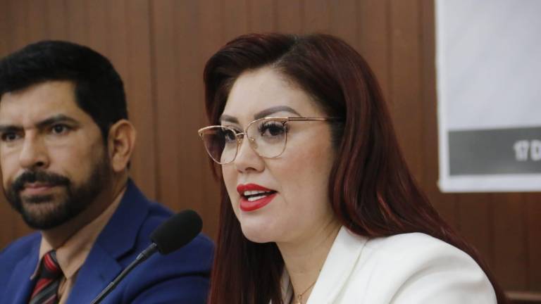 La Secretaria de Pesca y Acuacultura en Sinaloa, Flor Emilia Guerra, considera que el conflicto por la importación de camarón extranjero debe elevarse a los organismos internacionales.
