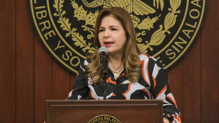 Emma Guadalupe Félix Rivera señaló que ya se empezará la discusión sobre los criterios a tomar en cuenta para la elección de entes a fiscalizar.