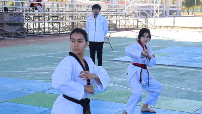 Los taekwondoínes demostraron su calidad en el tatami.
