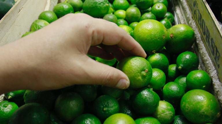 El kilo de limón podría mantenerse entre 70 y 80 pesos hasta abril, afirman en el mercado Garmendia de Culiacán