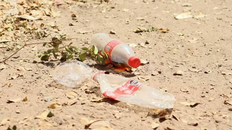 Indica investigador que el plástico intoxica ecosistemas y es nocivo para especies del planeta