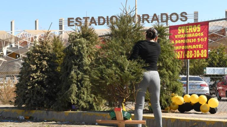 Llaman a llevar árboles de Navidad a centros de acopio en Culiacán