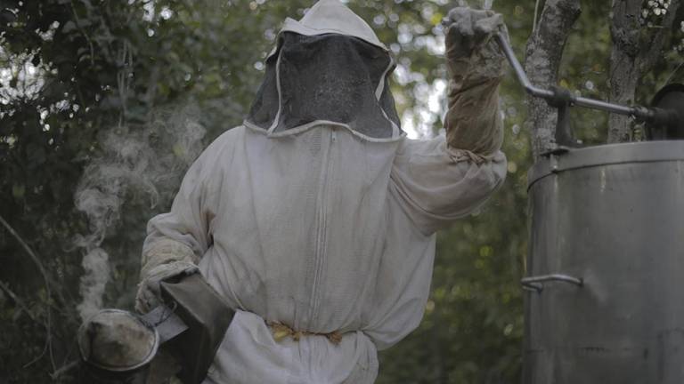 Agroindustria y resistencia de las abejas en Los Chenes