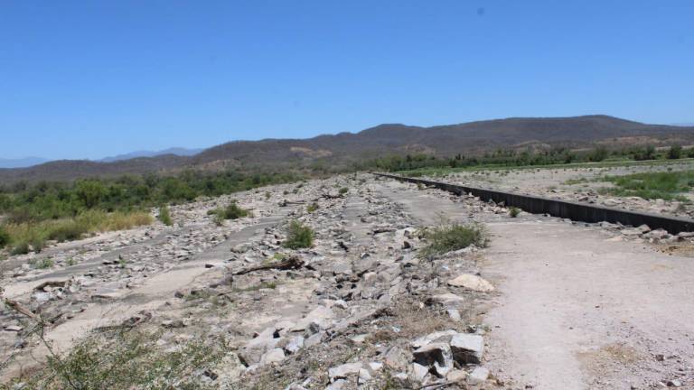 El sector ganadero de Sinaloa estima que a finales de mes podrían estar resintiendo los efectos de la sequía.