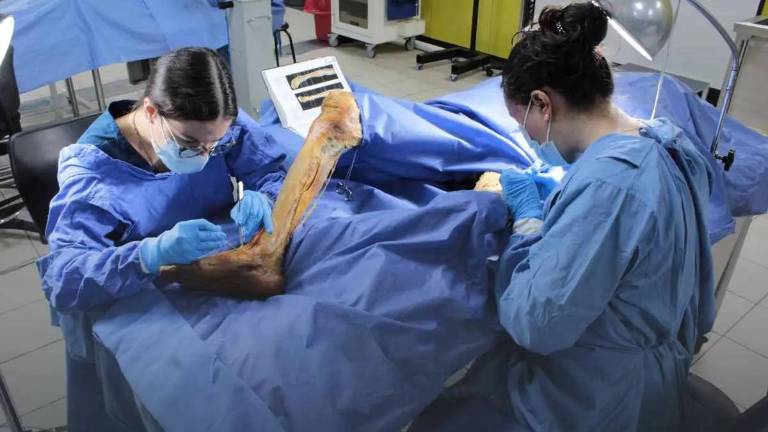 La donación de cuerpos es un acto voluntario, personal y altruista mediante el cual la persona cede su cuerpo después de la muerte. La donación de cuerpos es un acto voluntario, personal y altruista mediante el cual la persona cede su cuerpo después de la muerte.