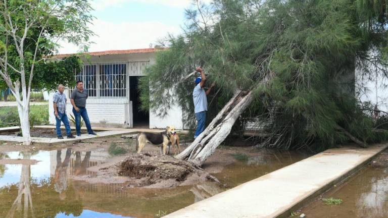 Con el paso de la tormenta tropical Norma, algunas escuelas de Sinaloa resultaron afectadas.