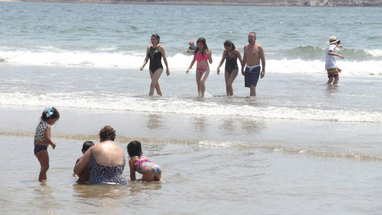 En playas de Mazatlán se encontró una especie de alga que no es dañina para la salud de los bañistas.