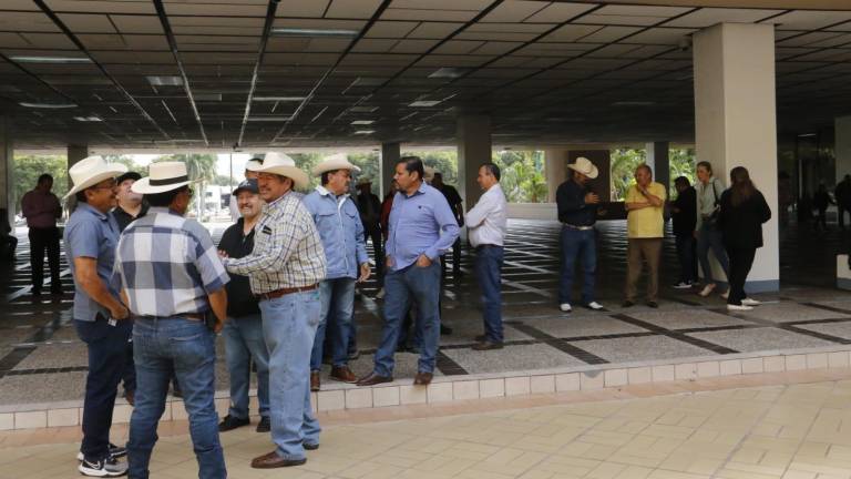 Productores agrícolas de Sinaloa piden al Gobernador reunión para buscar precios justos para el frijol y garbanzo.
