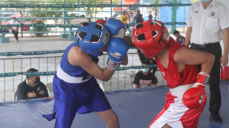 El objetivo del comité municipal de box en Mazatlán, proyecta un 2024 mejor que el año pasado.
