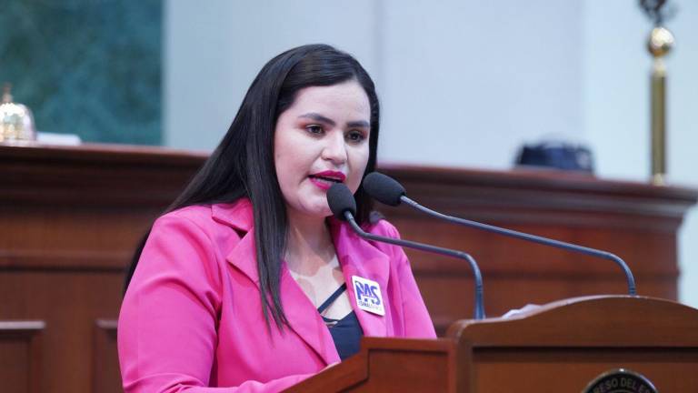 La Diputada Viridiana Camacho Millán del Partido Sinaloense señaló que el gobierno se ha demorado en atender a los trabajadores del campo.