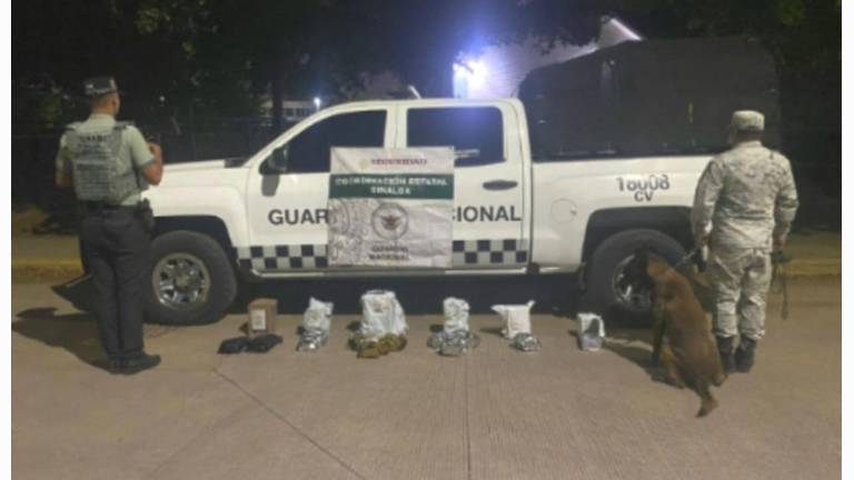 El aseguramiento se realizó en el área de paquetería de una empresa en Culiacán. El aseguramiento se realizó en el área de paquetería de una empresa en Culiacán.