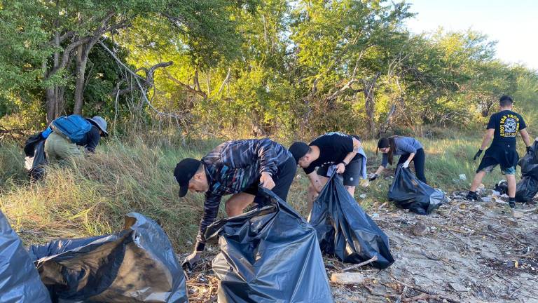 Voluntarios se sumaron a la recolección de desechos en el manglar de la Isla de la Piedra, en Mazatlán.