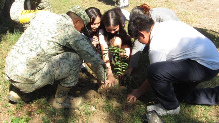 Durante la jornada, los alumnos de la Secundaria Solidaridad se organizaron en grupos para plantar los árboles. Durante la jornada, los alumnos de la Secundaria Solidaridad se organizaron en grupos para plantar los árboles.