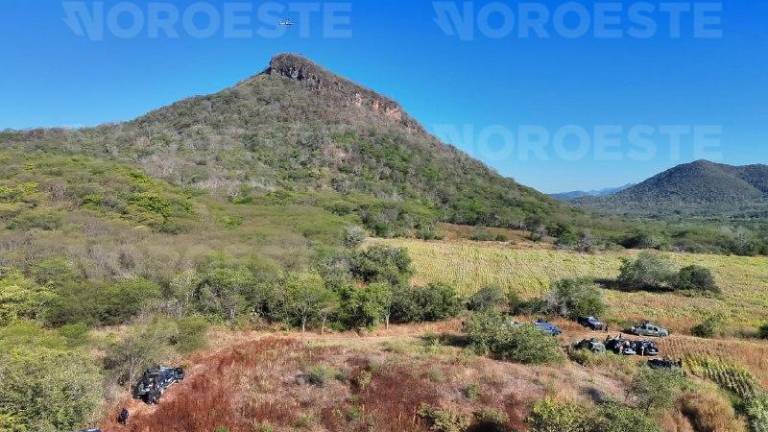 Autoridades confirman identidad de siete hombres fallecidos tras enfrentamiento en Tepuche. Autoridades confirman identidad de siete hombres fallecidos tras enfrentamiento en Tepuche.