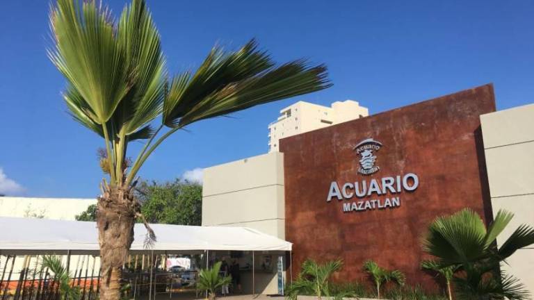 El actual Acuario Mazatlán estará laborando hasta que pase el próximo periodo de la Semana Santa.