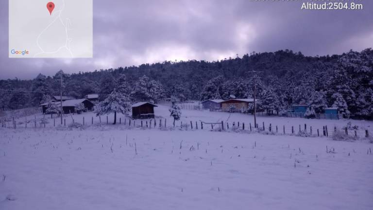 Cae nieve entre los límites con Durango; en Sinaloa, solo llovizna