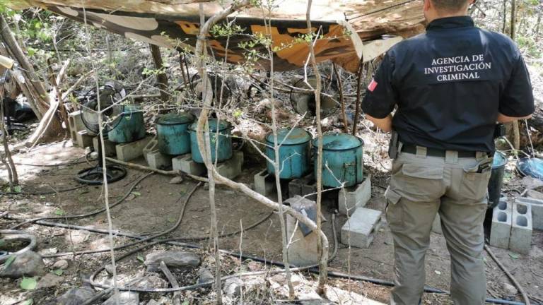 Durante enero se localizaron 17 laboratorios clandestinos en Sinaloa.