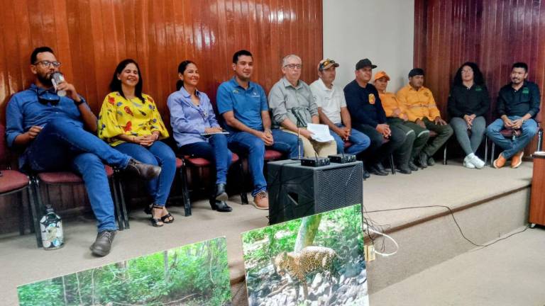 Se llevó a cabo el conversatorio ambiental que analizó la importancia y retos de la conservación del APFF Meseta de Cacaxtla - 25 Aniversario”. Se llevó a cabo el conversatorio ambiental que analizó la importancia y retos de la conservación del APFF Meseta de Cacaxtla - 25 Aniversario”.