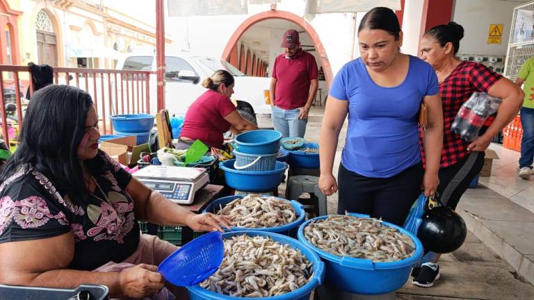 Llega la semana esperada para la venta de mariscos en Escuinapa