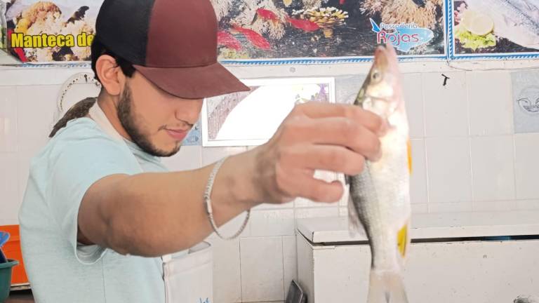 En las pescaderías de Escuinapa, uno de los pescados más buscados durante la Cuaresma ha sido el constantino.