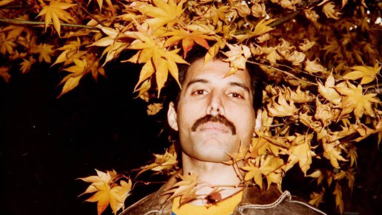Subastan en 189 mil dólares el peine para bigote de Freddie Mercury