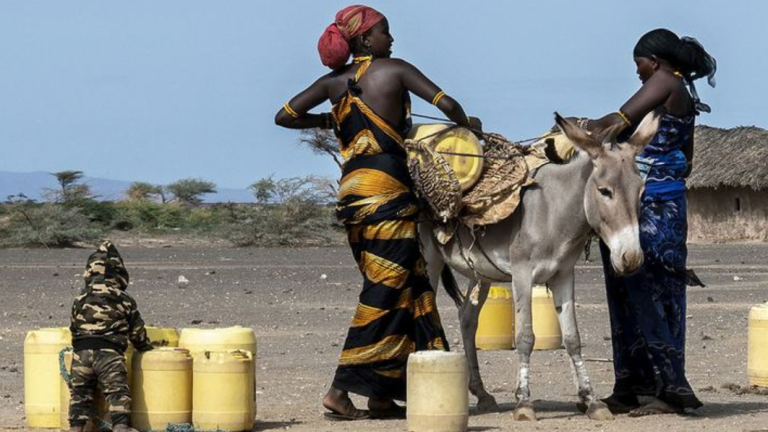 Mujeres recogiendo agua en Marsabit, al norte de Kenia, una zona azotada por la sequía.