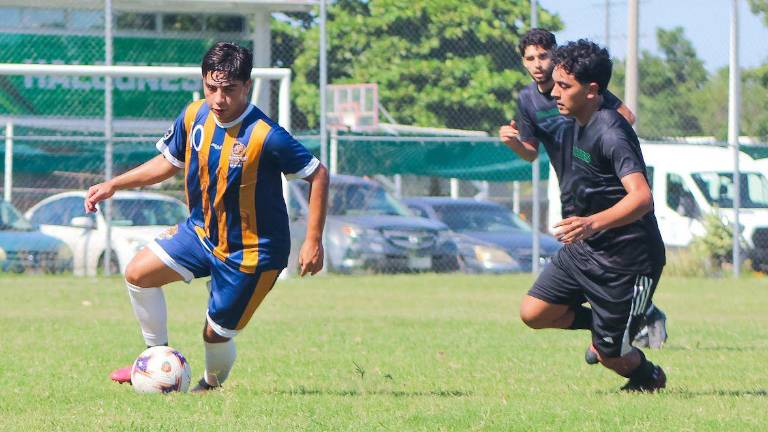 La Liga Universitaria de Sinaloa ya tiene a sus cuatro equipos clasificados a las semifinales del torneo Génesis por la Paz. La Liga Universitaria de Sinaloa ya tiene a sus cuatro equipos clasificados a las semifinales del torneo Génesis por la Paz.