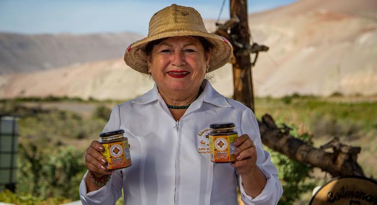 $!La mujer que extrae miel del desierto de Chile