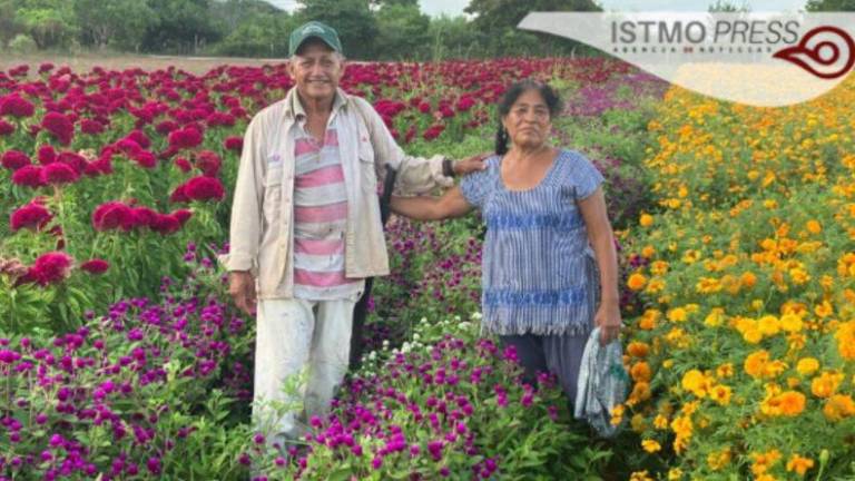 Victorina e Isaías tienen 40 años cultivando flor de muerto en Oaxaca.