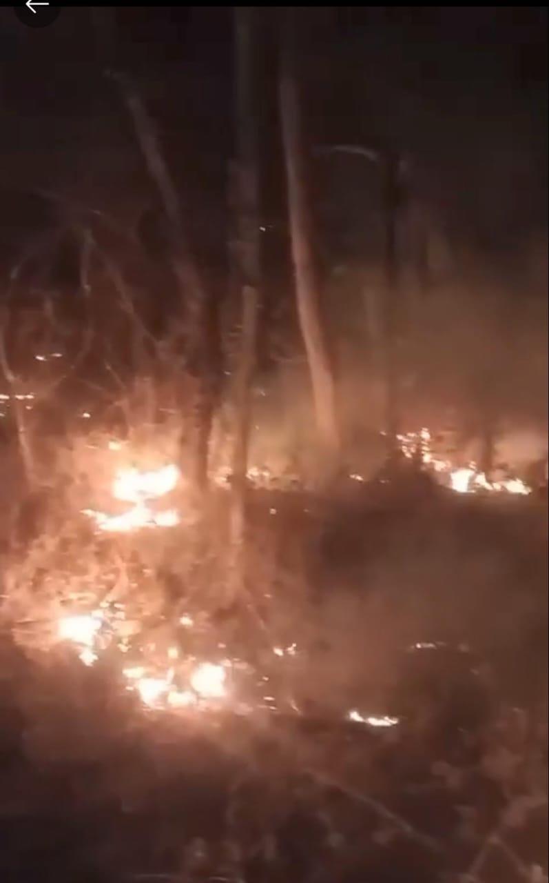 $!Incendio forestal acecha a comunidades del norte de Mazatlán: Protección Civil