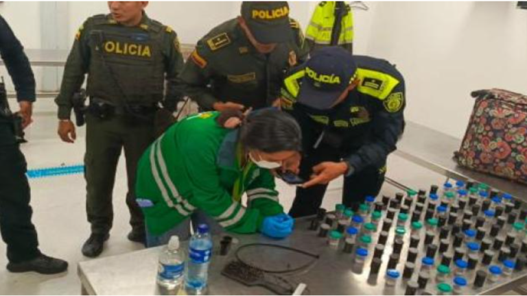 Capturan en aeropuerto de Colombia a mujer con 130 ranas venenosas