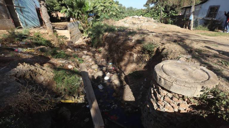 La red de drenaje que se encuentra alrededor del arroyo de Lomas del Ébano está a un nivel más bajo de las casas, lo que provoca constantes rebosamientos de las alcantarillas.