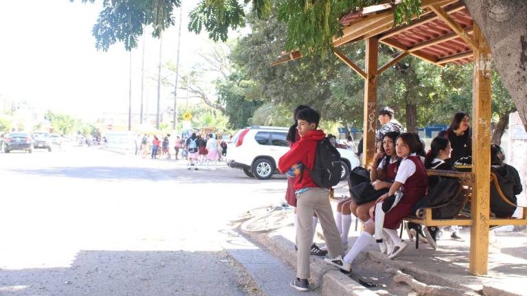 Transporte urbano en Escuinapa lleva 5 meses suspendido: DVyT
