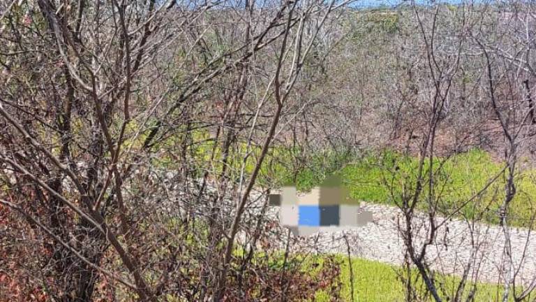 Localizan cuerpo de un hombre sin vida en zona de marismas al sur de Mazatlán