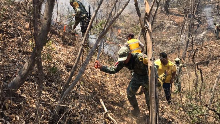 Aumentan incendios forestales en Sinaloa; Conafor registra 13 activos en seis municipios