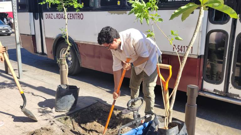 La asociación civil Guaiacum realizó una plantación simbólica de árboles endémicos en el centro de Culiacán.
