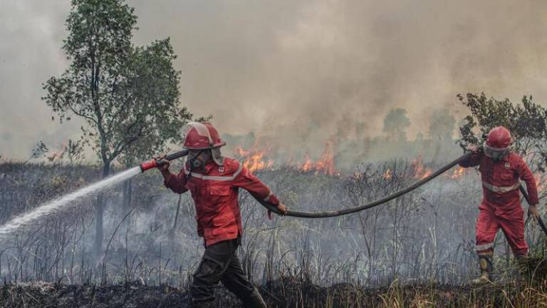 A medida que los incendios arrasan más tierras forestales, se libera aún más dióxido de carbono y otros gases de efecto invernadero. Esto alimenta el ciclo del cambio climático