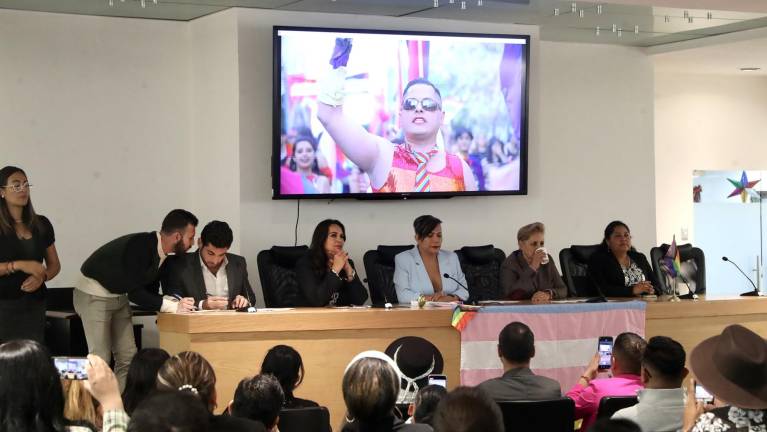 La Diputada federal de Morena, Salma Luévano, junto con asociaciones de la diversidad sexual, impulsaron la propuesta conocida como Ley Ociel Baena.