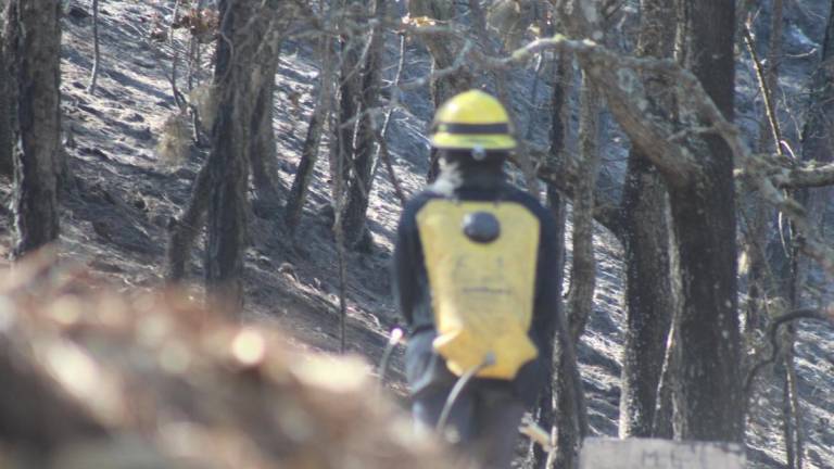 Con rastrillos y palas, brigadistas combaten incendios forestales en Sinaloa
