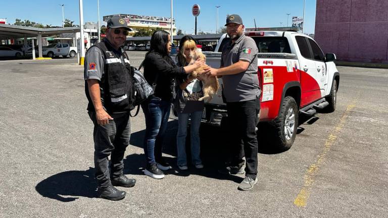 Encuentran a familia de perrito rescatado por Protección Civil Culiacán