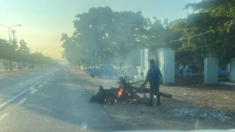 El comerciante quemó un árbol seco y basura de su negocio a la orilla de la avenida Luis Donaldo Colosio.