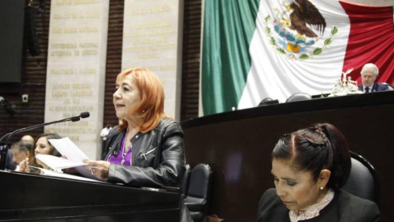 Rosario Piedra llevó ante la Cámara de Diputados la iniciativa para convertir la CNDH en la Defensoría del Pueblo.