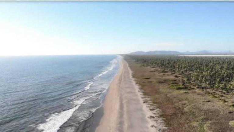 Parte de la línea de costa de la nueva área natural protegida que se encuentra en Escuinapa.