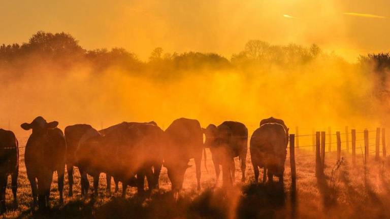 El 2025 se perfila como el segundo o tercer año más cálido jamás registrado. El 2025 se perfila como el segundo o tercer año más cálido jamás registrado.